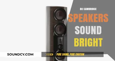 Do Cambridge Speakers Sound Bright? Exploring Their Audio Clarity and Tone