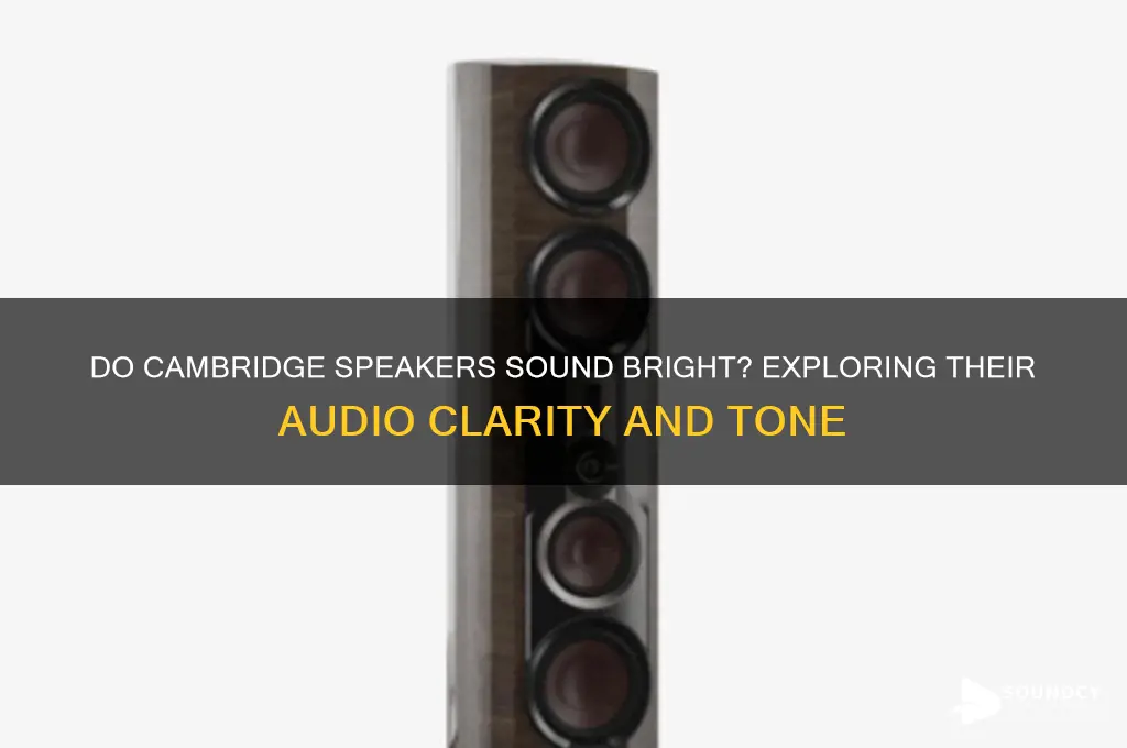 do cambridge speakers sound bright