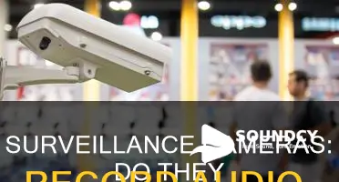 do cameras in stores have sound