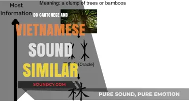 Cantonese and Vietnamese: Similar or Distinct?