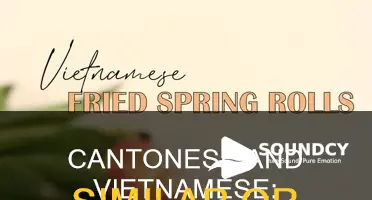 do cantonese and vietnamese sound similar