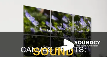 do canvas paintings help with sound
