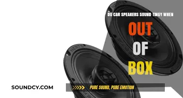 New Car Speakers Sound Tingy? Breaking In and Improving Audio Quality