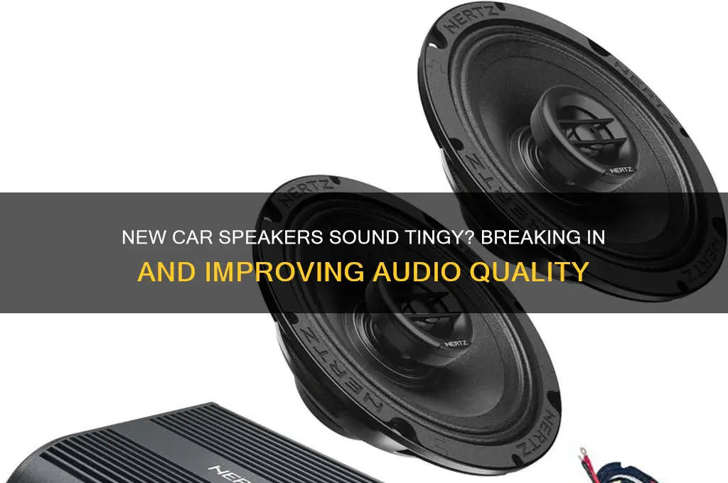 do car speakers sound tingy when out of box