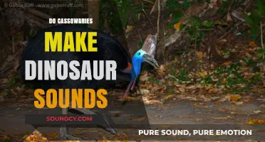 Do Cassowaries Make Dinosaur Sounds? Unraveling the Ancient Bird's Calls