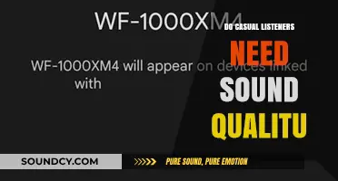 Audiophiles vs Casual Listeners: Who Needs Sound Quality?
