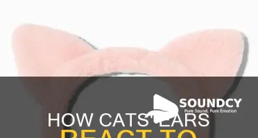 do cat ears move toward sounds