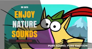 Do Cats Enjoy Nature Sounds? Exploring Feline Reactions to Outdoor Audio