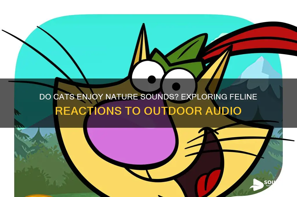 do cats enjoy nature sounds