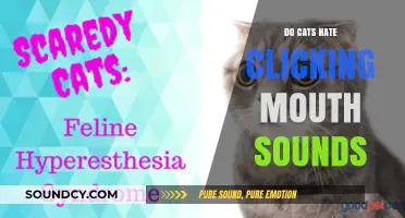 Why Cats Hate Clicking Mouth Sounds