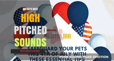 Why High-Pitched Sounds Annoy Cats