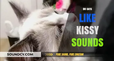 Do Cats Enjoy Kissy Sounds? Understanding Feline Reactions to Human Affection