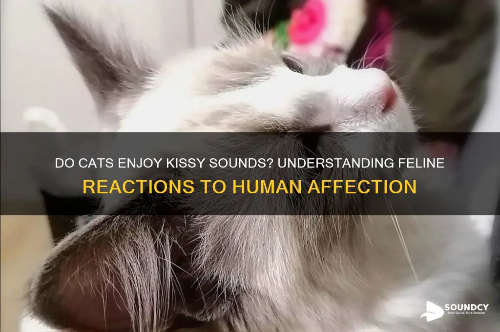 do cats like kissy sounds