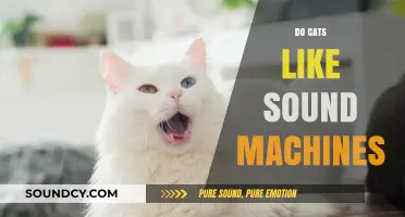 Do Cats Enjoy Sound Machines? Exploring Feline Reactions to White Noise