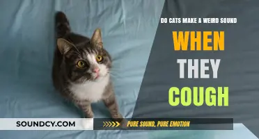 Why Do Cats Make Strange Noises When Coughing? Explained