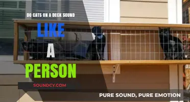Do Cats on a Deck Mimic Human Sounds? Unraveling the Mystery