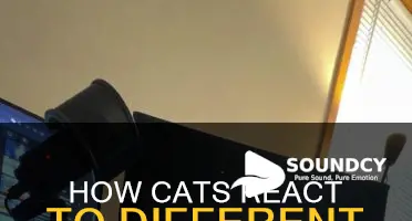 do cats respond to certain sounds
