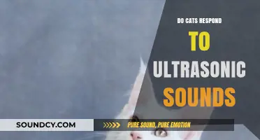How Cats React to Ultrasonic Sounds