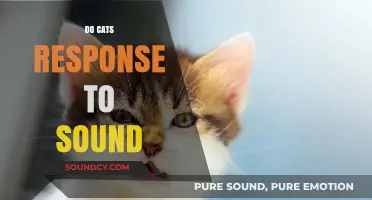 How Cats React to Sounds: Understanding Their Unique Auditory Responses