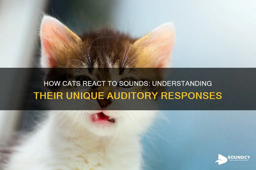 do cats response to sound