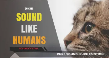 Do Cats Mimic Human Speech? Exploring Feline Vocalizations and Sounds