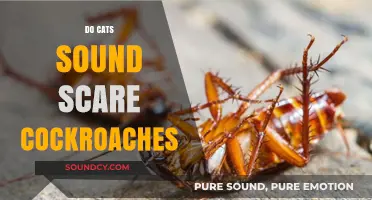 Do Cats' Sounds Scare Cockroaches? Exploring Feline Noises and Pest Reactions