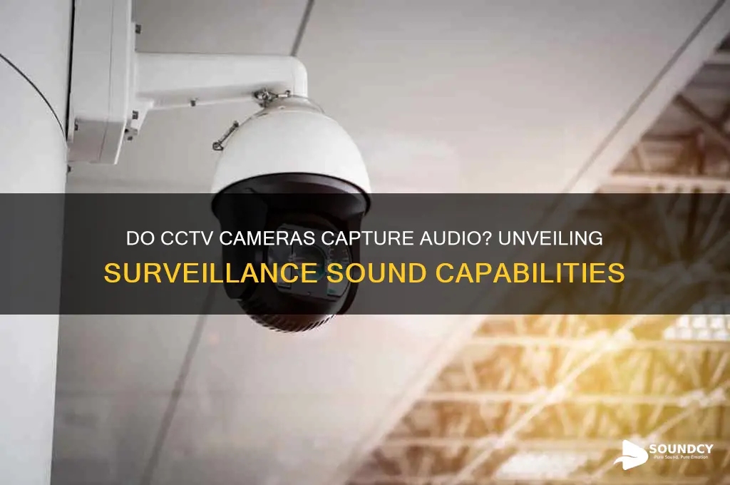 do cctv cameras have sound