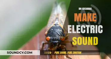 Unraveling the Mystery: Do Cicadas Produce Electric Sounds?
