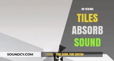 Do Ceiling Tiles Absorb Sound? Exploring Acoustic Benefits and Limitations