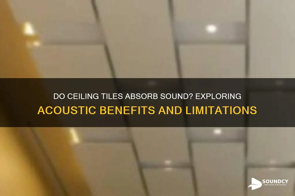 do ceiling tiles absorb sound