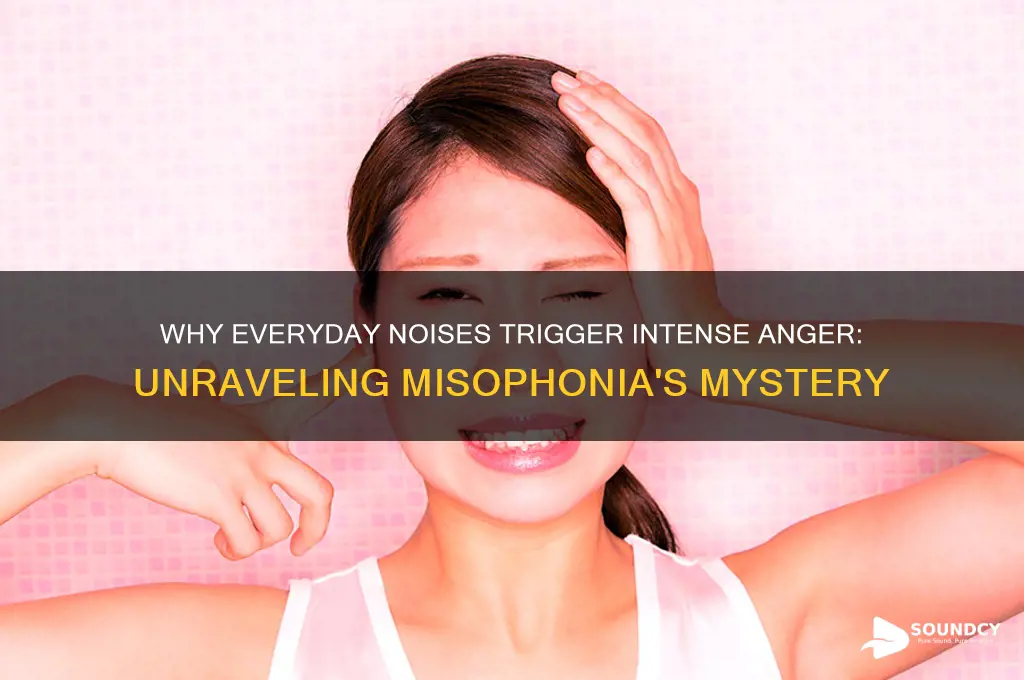 do certain sounds enrage you