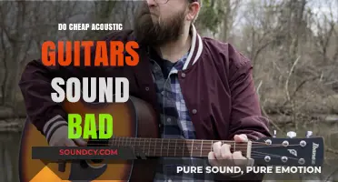 Cheap Acoustic Guitars: Worth the Price?