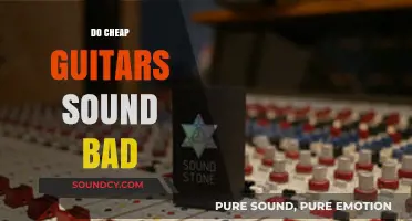 Do Affordable Guitars Compromise Sound Quality? A Comprehensive Analysis