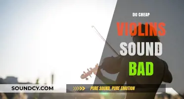 Do Cheap Violins Sound Bad? Unveiling the Truth Behind Affordable Instruments