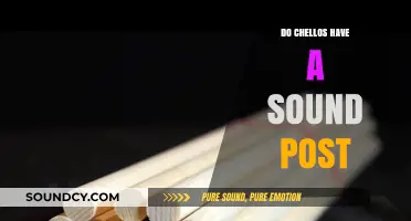 Cellos and Sound Posts: What's the Connection?