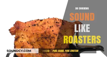 Do Chickens Sound Like Roasters? Unraveling Poultry Noises and Myths