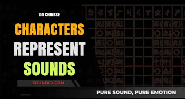 Do Chinese Characters Represent Sounds? Unraveling the Script's Phonetic Mystery