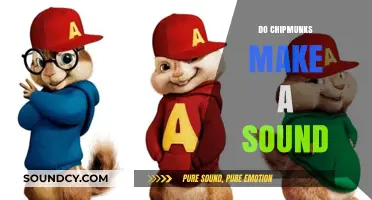 Do Chipmunks Make Sounds? Exploring Their Unique Vocalizations and Behaviors