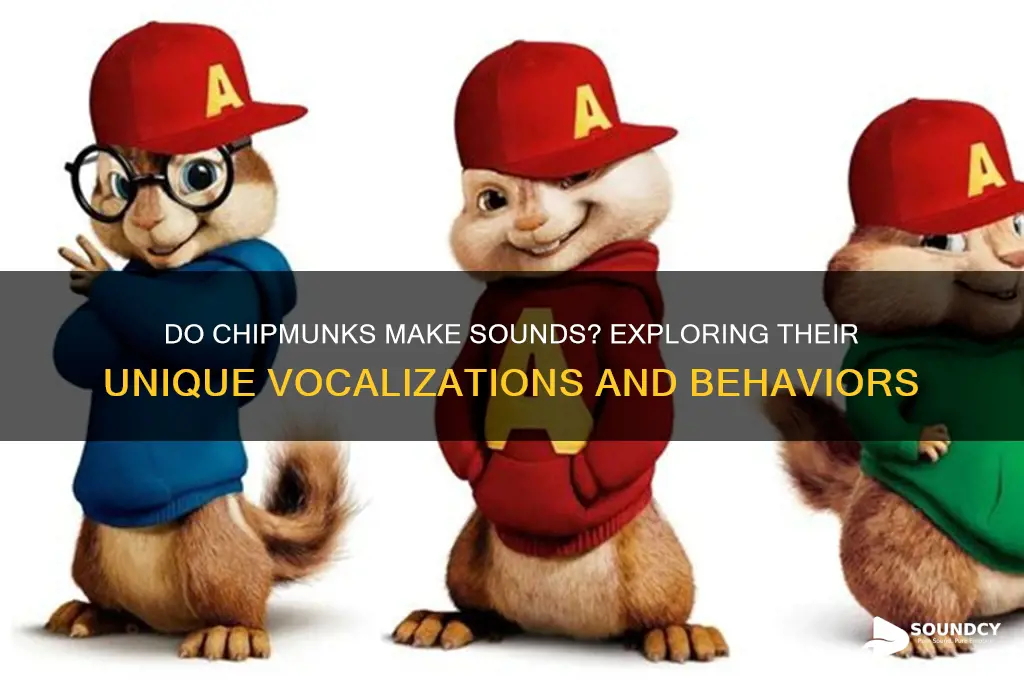do chipmunks make a sound