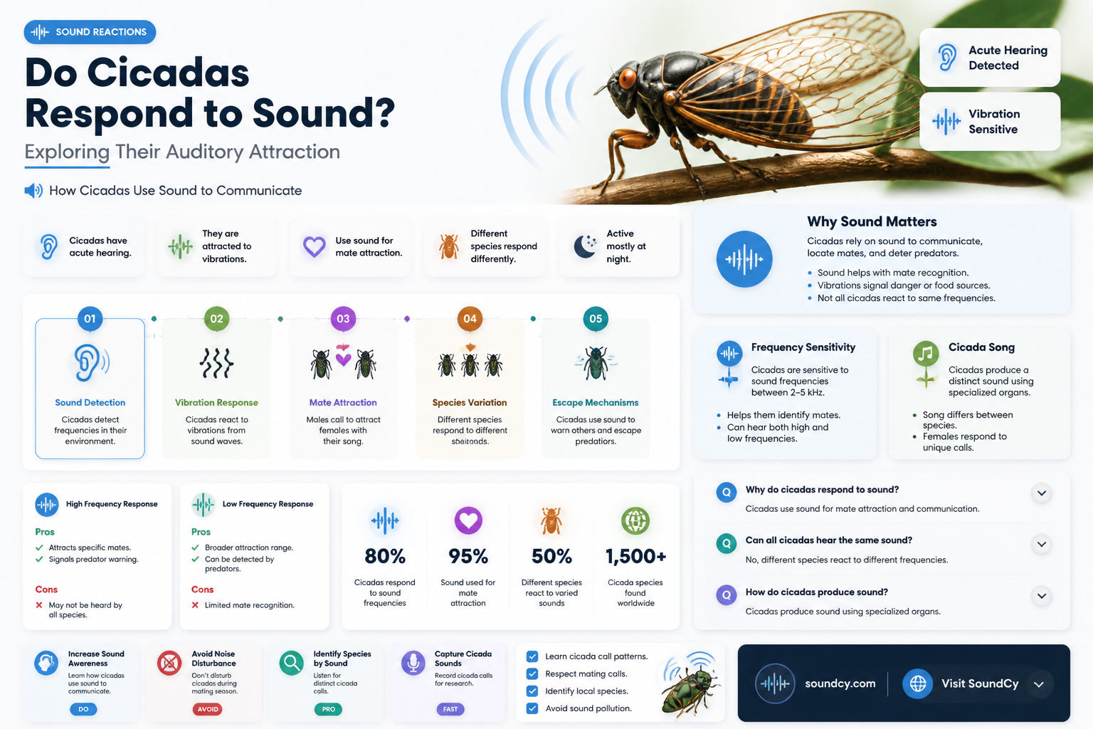are cicadas attracted to sound