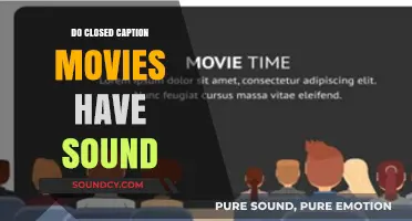 Closed Captions: Can You Hear the Silence?