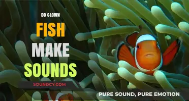 Do Clownfish Make Sounds? Unveiling the Noisy Truth About These Colorful Fish