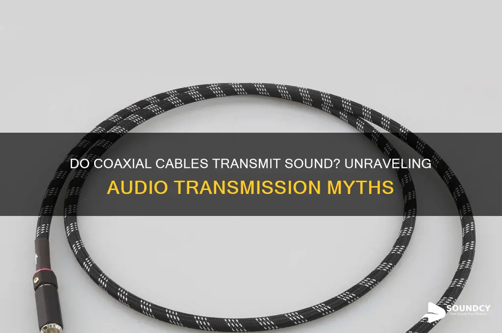 do coaxial cables transmit sound