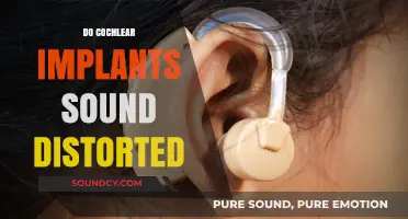 Do Cochlear Implants Sound Distorted? Exploring Clarity and User Experiences