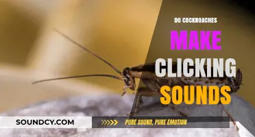 Do Cockroaches Click? Unraveling the Mystery of Their Noises