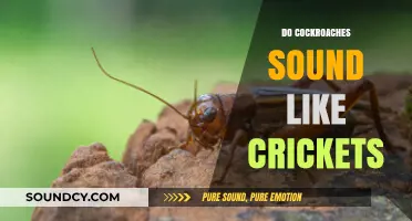 Cockroach vs. Cricket Sounds: Unraveling the Nocturnal Noise Mystery