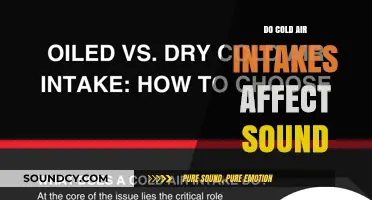 Cold Air Intakes: Sound and Performance