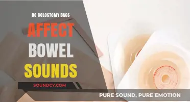 Colostomy Bags: Impact on Bowel Sounds
