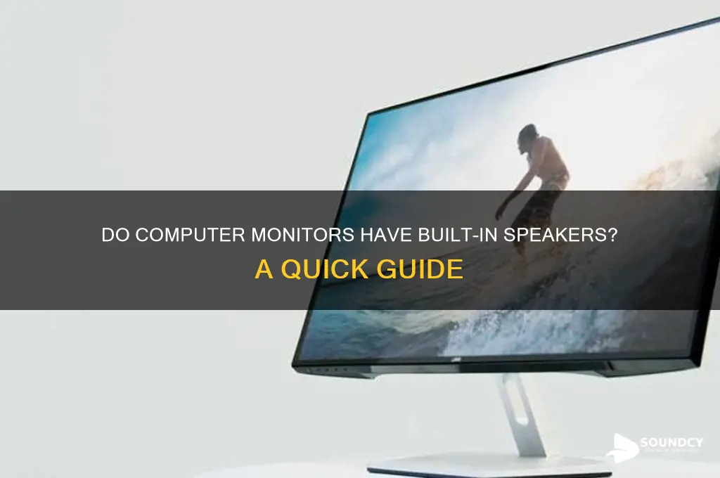 do computer monitors have sound