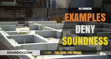 Counter Examples and Soundness: Do They Undermine Logical Validity?